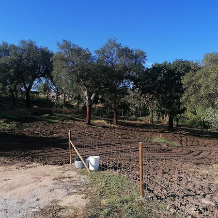 Casas De Marvao - Quinta Da Bela Vista Villa ภายนอก รูปภาพ