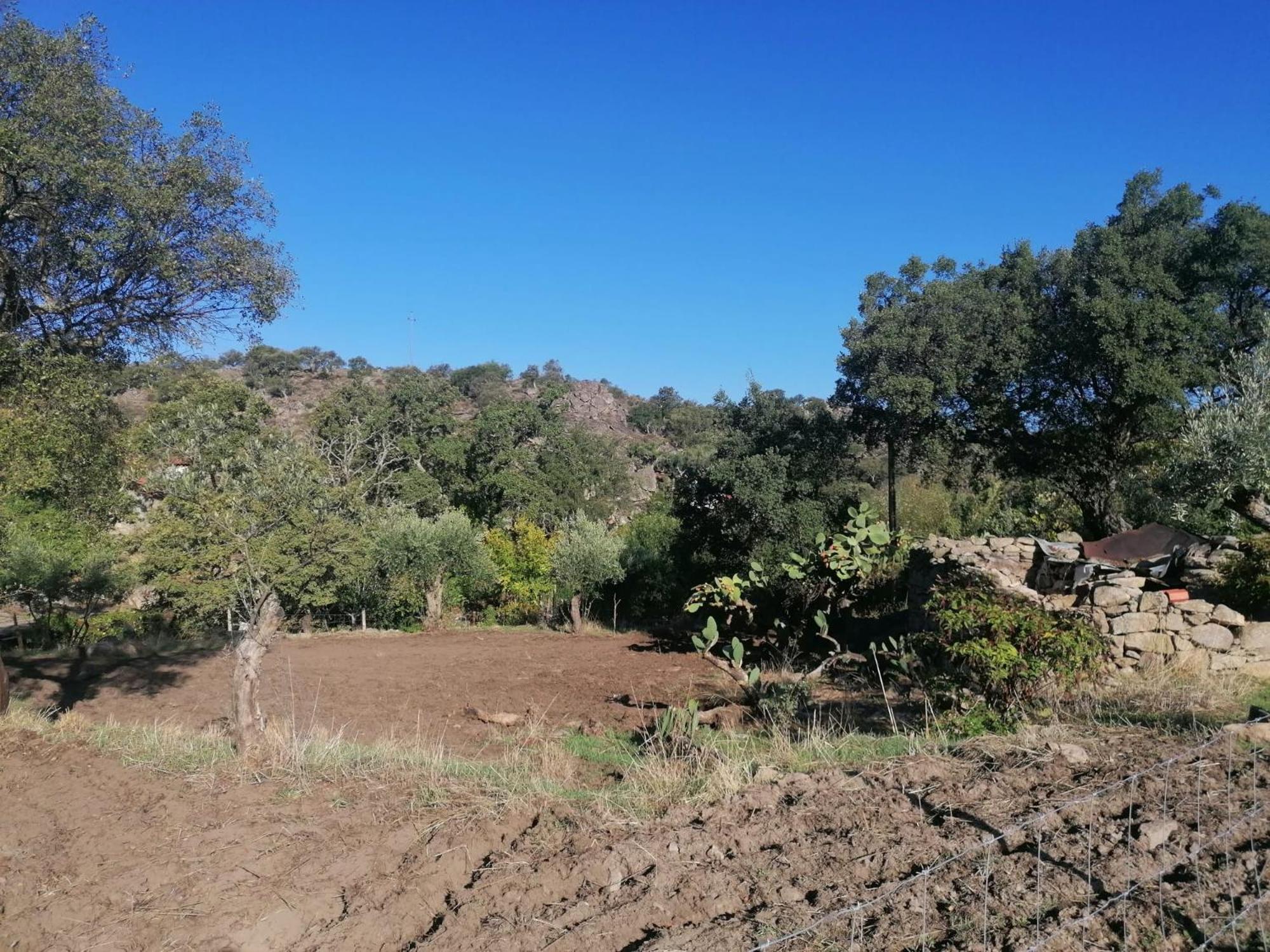 Casas De Marvao - Quinta Da Bela Vista Villa ภายนอก รูปภาพ